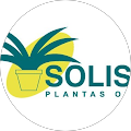 SOLISPLANT